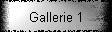 Gallerie 1